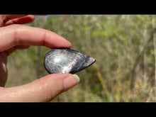 Charger et lire la vidéo dans la visionneuse de la Galerie, Hypersthène 37