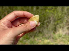 Charger et lire la vidéo dans la visionneuse de la Galerie, Calcite jaune 17