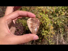 Charger et lire la vidéo dans la visionneuse de la Galerie, Calcite 10