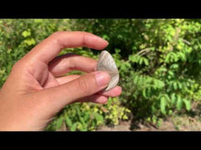 Charger et lire la vidéo dans la visionneuse de la Galerie, Silex 4