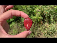 Charger et lire la vidéo dans la visionneuse de la Galerie, Jaspe peau de serpent 12