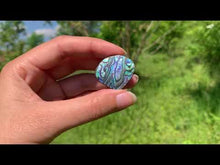 Charger et lire la vidéo dans la visionneuse de la Galerie, Abalone 71