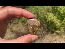 Charger et lire la vidéo dans la visionneuse de la Galerie, Bronzite 26