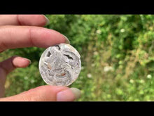 Charger et lire la vidéo dans la visionneuse de la Galerie, Ammonite 13