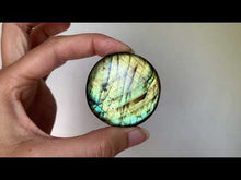 Charger et lire la vidéo dans la visionneuse de la Galerie, Labradorite 240