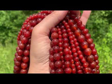Charger et lire la vidéo dans la visionneuse de la Galerie, Perles en cornaline / agate rouge entre 4 et 14mm CAU