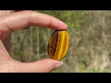 Charger et lire la vidéo dans la visionneuse de la Galerie, Oeil de tigre 72