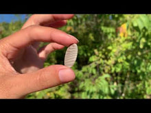 Charger et lire la vidéo dans la visionneuse de la Galerie, Silex 12