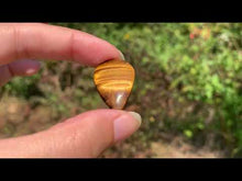 Charger et lire la vidéo dans la visionneuse de la Galerie, VENDU Oeil de tigre 53