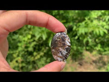 Charger et lire la vidéo dans la visionneuse de la Galerie, Agate sagénitique 34