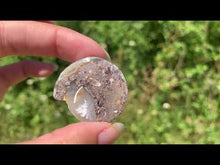 Charger et lire la vidéo dans la visionneuse de la Galerie, Ammonite 32