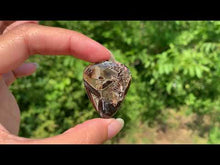 Charger et lire la vidéo dans la visionneuse de la Galerie, Agate sagénitique 36