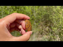 Charger et lire la vidéo dans la visionneuse de la Galerie, Jaspe Mariam 17