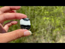 Charger et lire la vidéo dans la visionneuse de la Galerie, Jaspe Zebré 8