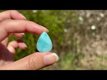 Charger et lire la vidéo dans la visionneuse de la Galerie, Larimar 35