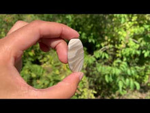 Charger et lire la vidéo dans la visionneuse de la Galerie, Silex 6