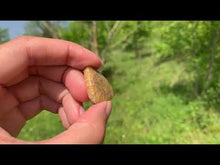 Charger et lire la vidéo dans la visionneuse de la Galerie, Ammonite de Madagascar 19