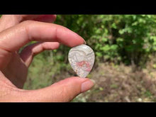 Charger et lire la vidéo dans la visionneuse de la Galerie, Agate Crazy Lace 20