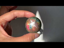 Charger et lire la vidéo dans la visionneuse de la Galerie, Labradorite 245