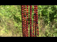 Charger et lire la vidéo dans la visionneuse de la Galerie, Perles en grenat hessonite entre 6 et 10mm