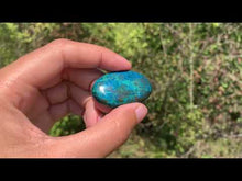 Charger et lire la vidéo dans la visionneuse de la Galerie, Chrysocolle 6