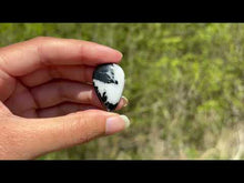 Charger et lire la vidéo dans la visionneuse de la Galerie, Jaspe Zebré 14