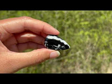 Charger et lire la vidéo dans la visionneuse de la Galerie, Jaspe Zebré 13