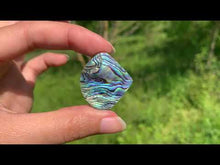Charger et lire la vidéo dans la visionneuse de la Galerie, Abalone 53