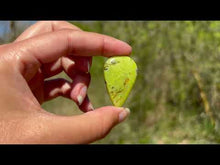 Charger et lire la vidéo dans la visionneuse de la Galerie, Opale Commune Verte 9