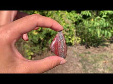 Charger et lire la vidéo dans la visionneuse de la Galerie, Jaspe héliotrope 21