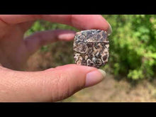 Charger et lire la vidéo dans la visionneuse de la Galerie, Jaspe à turritelles 33