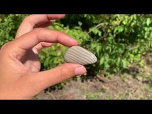 Charger et lire la vidéo dans la visionneuse de la Galerie, Silex 3