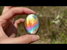 Charger et lire la vidéo dans la visionneuse de la Galerie, Labradorite 293