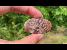 Charger et lire la vidéo dans la visionneuse de la Galerie, Agate sagénitique 30