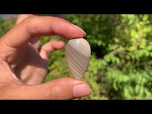 Charger et lire la vidéo dans la visionneuse de la Galerie, Silex 8