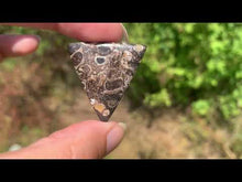 Charger et lire la vidéo dans la visionneuse de la Galerie, Jaspe à turritelles 27