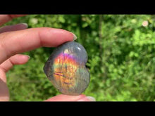 Charger et lire la vidéo dans la visionneuse de la Galerie, Labradorite 142