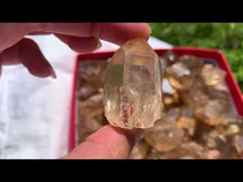 Charger et lire la vidéo dans la visionneuse de la Galerie, Citrine brut 80