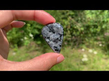 Charger et lire la vidéo dans la visionneuse de la Galerie, Larvikite 41