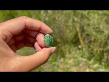 Charger et lire la vidéo dans la visionneuse de la Galerie, Jade Néphrite 2