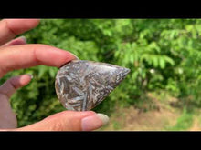 Charger et lire la vidéo dans la visionneuse de la Galerie, Agate sagénitique 41