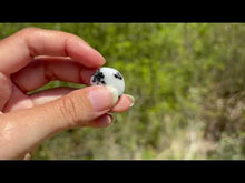 Charger et lire la vidéo dans la visionneuse de la Galerie, Jaspe Zebré 10