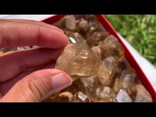 Charger et lire la vidéo dans la visionneuse de la Galerie, Citrine brut 101