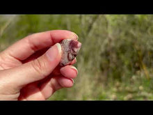 Charger et lire la vidéo dans la visionneuse de la Galerie, Jaspe oeil d'oiseau 7