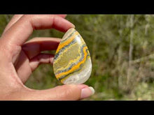 Charger et lire la vidéo dans la visionneuse de la Galerie, Jaspe Bumblebee 23