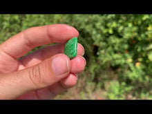 Charger et lire la vidéo dans la visionneuse de la Galerie, Maw-Sit-Sit 5