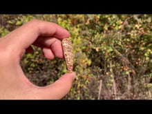 Charger et lire la vidéo dans la visionneuse de la Galerie, Calcite 15