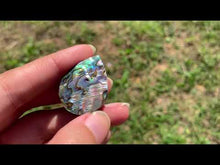 Charger et lire la vidéo dans la visionneuse de la Galerie, VENDU Abalone 48