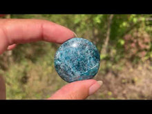 Charger et lire la vidéo dans la visionneuse de la Galerie, Apatite bleue 20