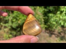 Charger et lire la vidéo dans la visionneuse de la Galerie, Oeil de tigre 31